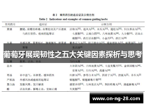 葡萄牙展现韧性之五大关键因素探析与思考